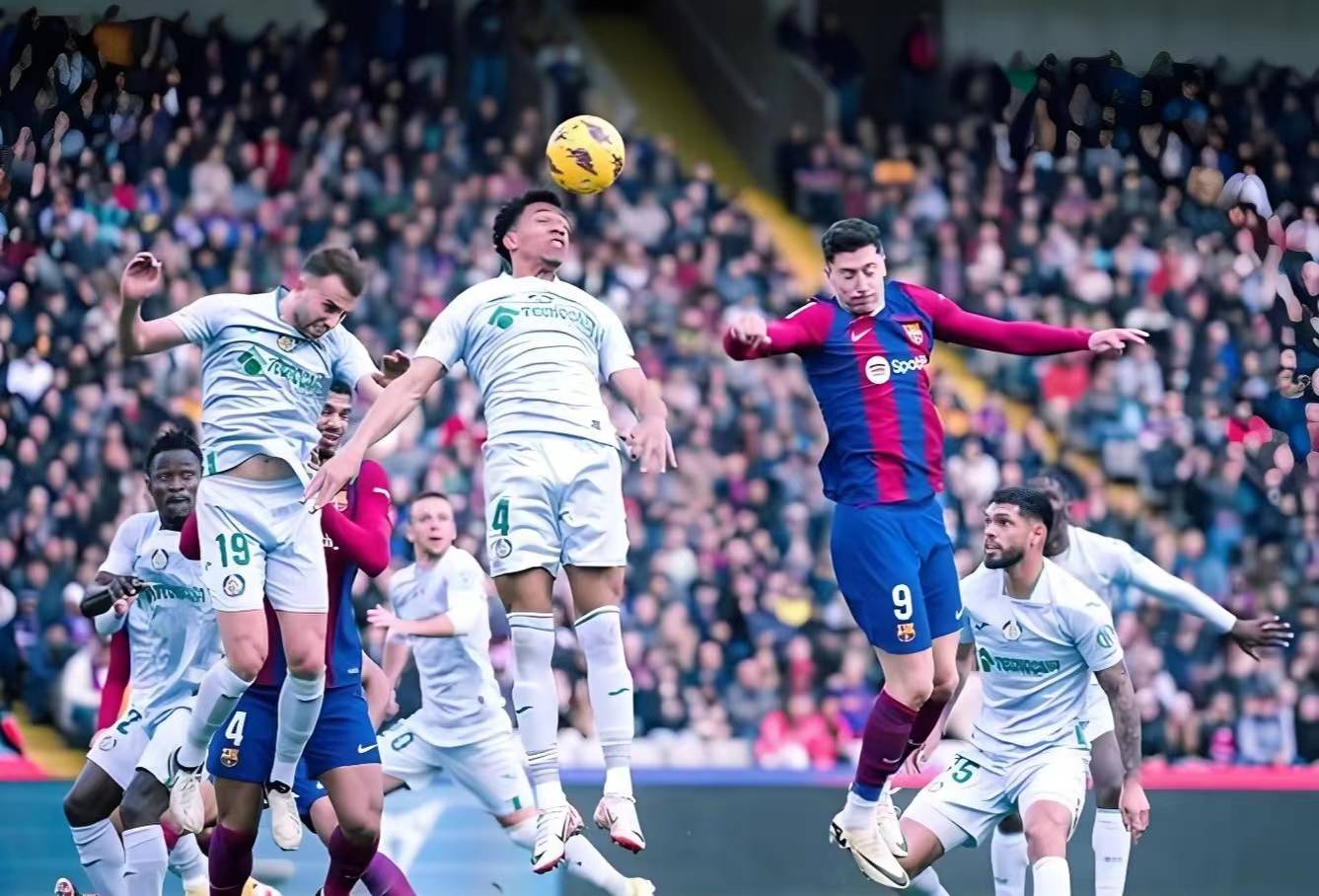 海牙费耶诺德球迷